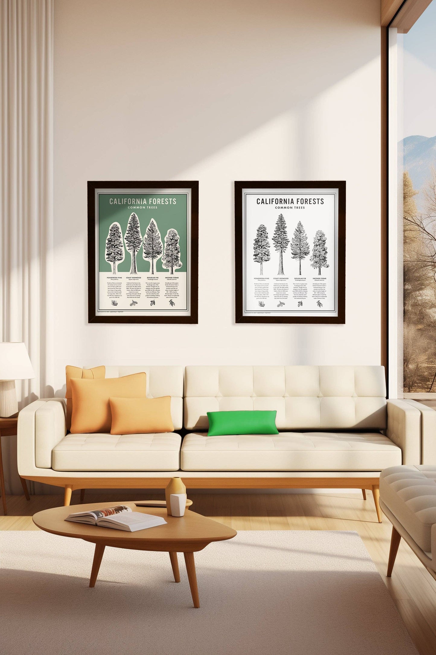 California Forests Poster Print - Green: 11x14