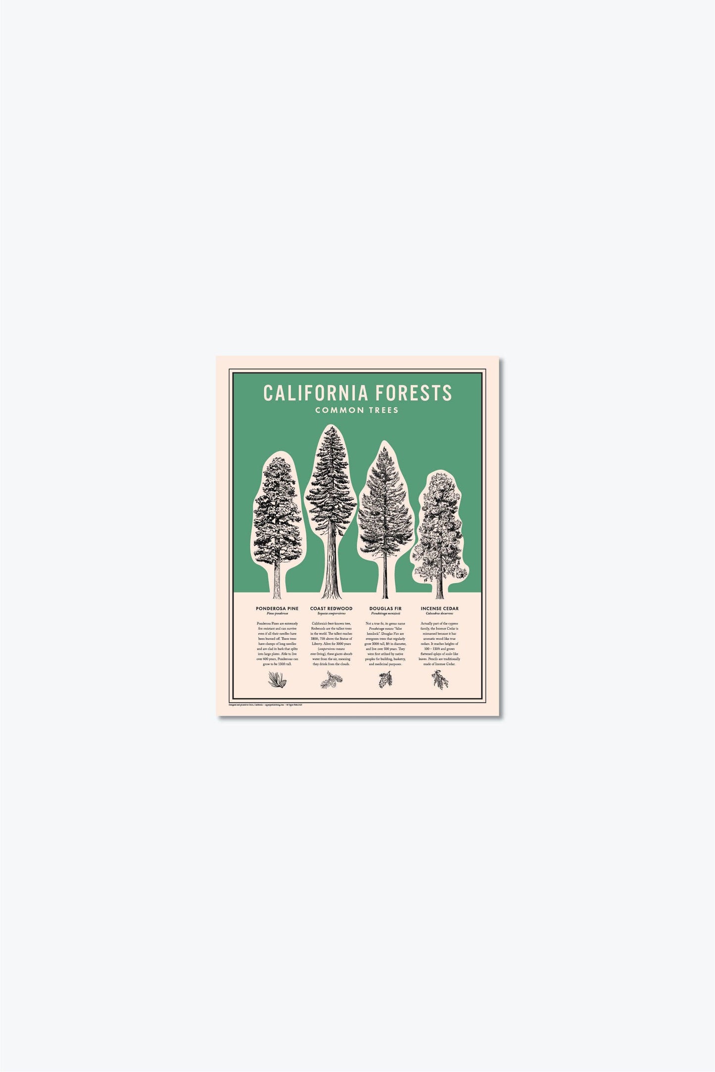 California Forests Poster Print - Green: 11x14