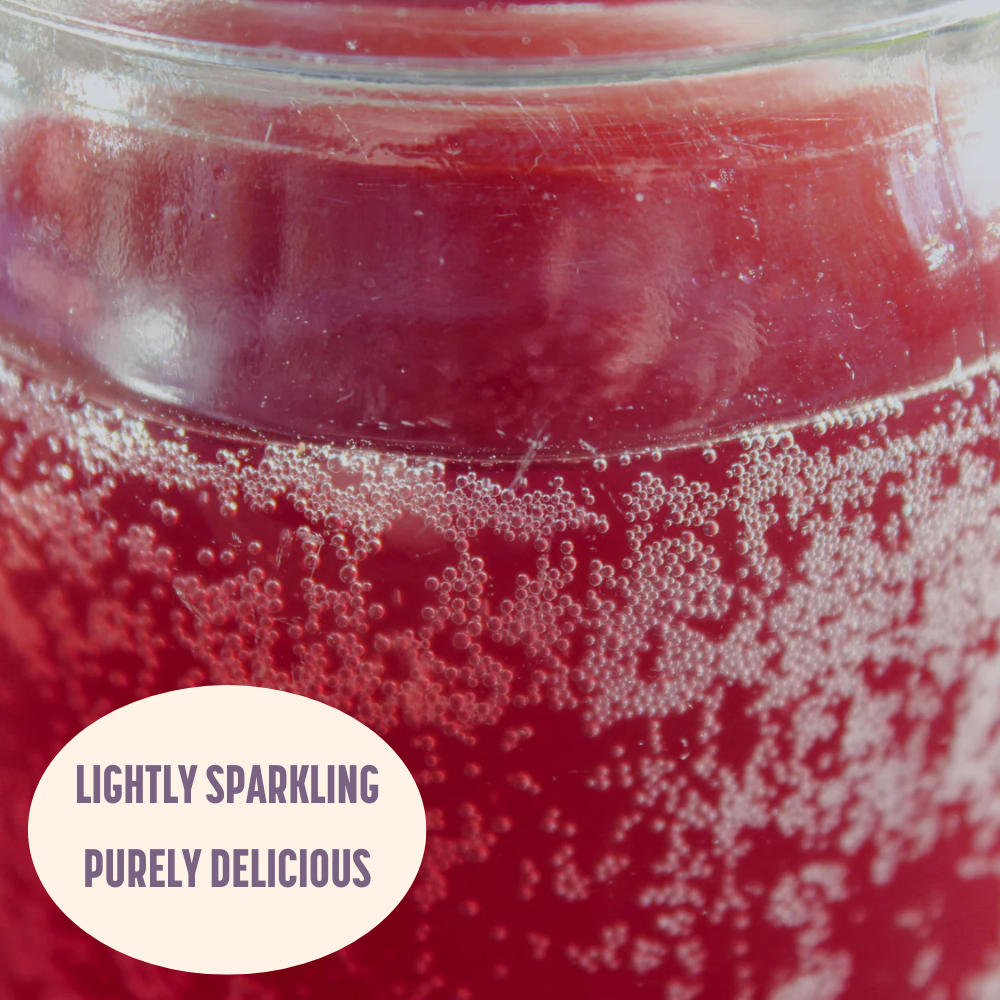 Marionberry Probiotic Soda (Hand-Crafted)