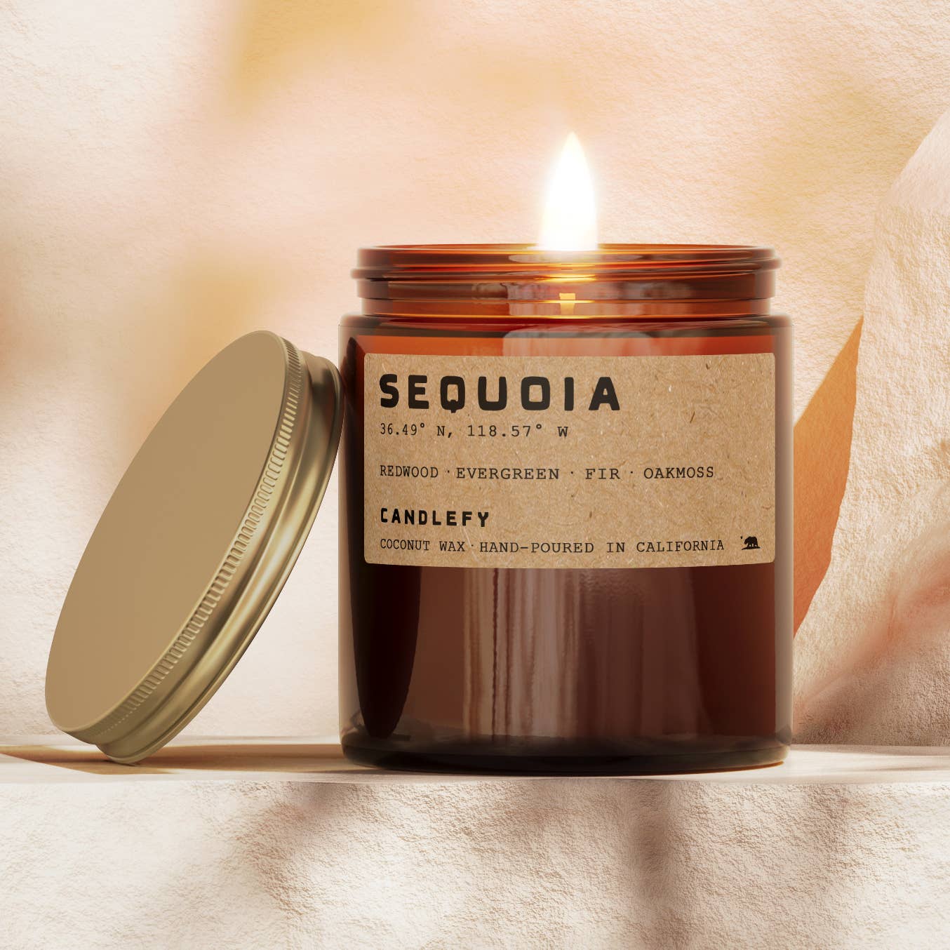 Sequoia Redwood California Candle: Natural Coconut Soy Wax