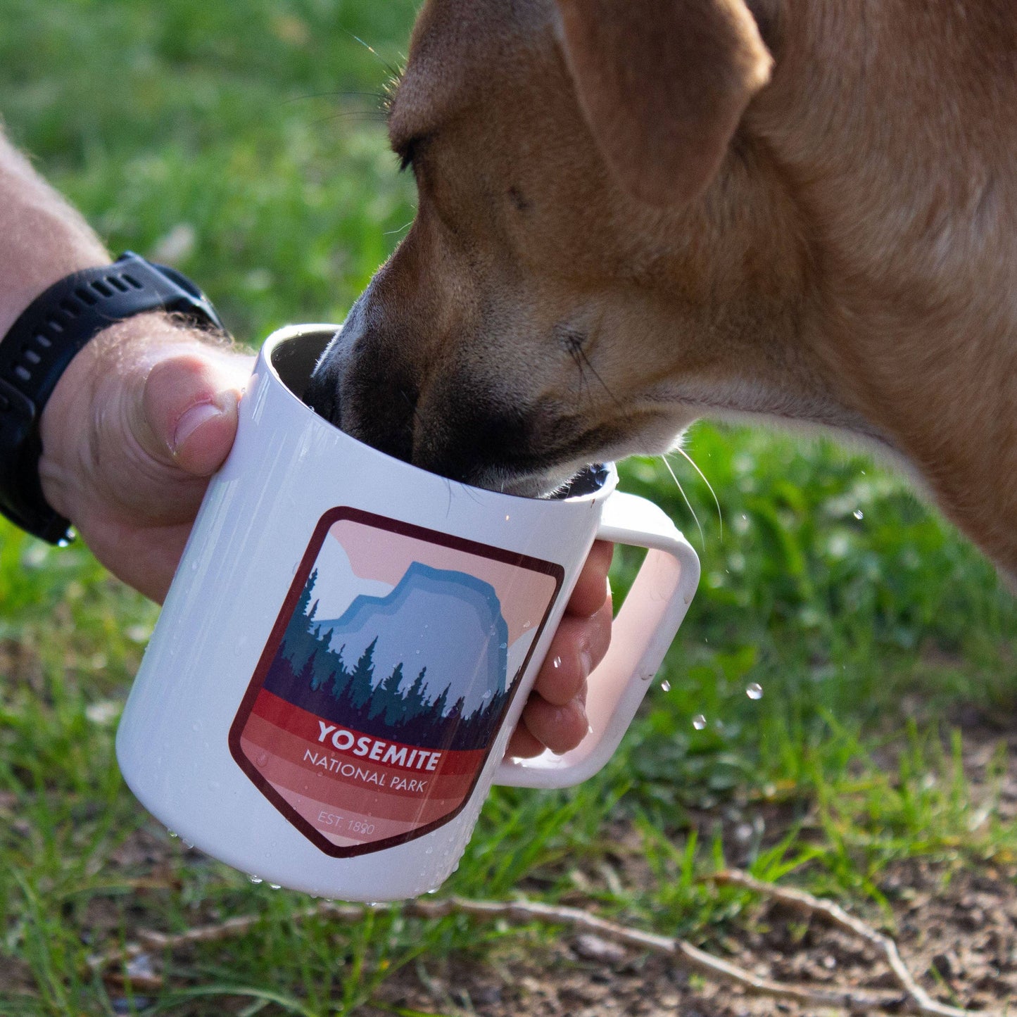 Yosemite National Park Mug - Yosemite Gift + Souvenir