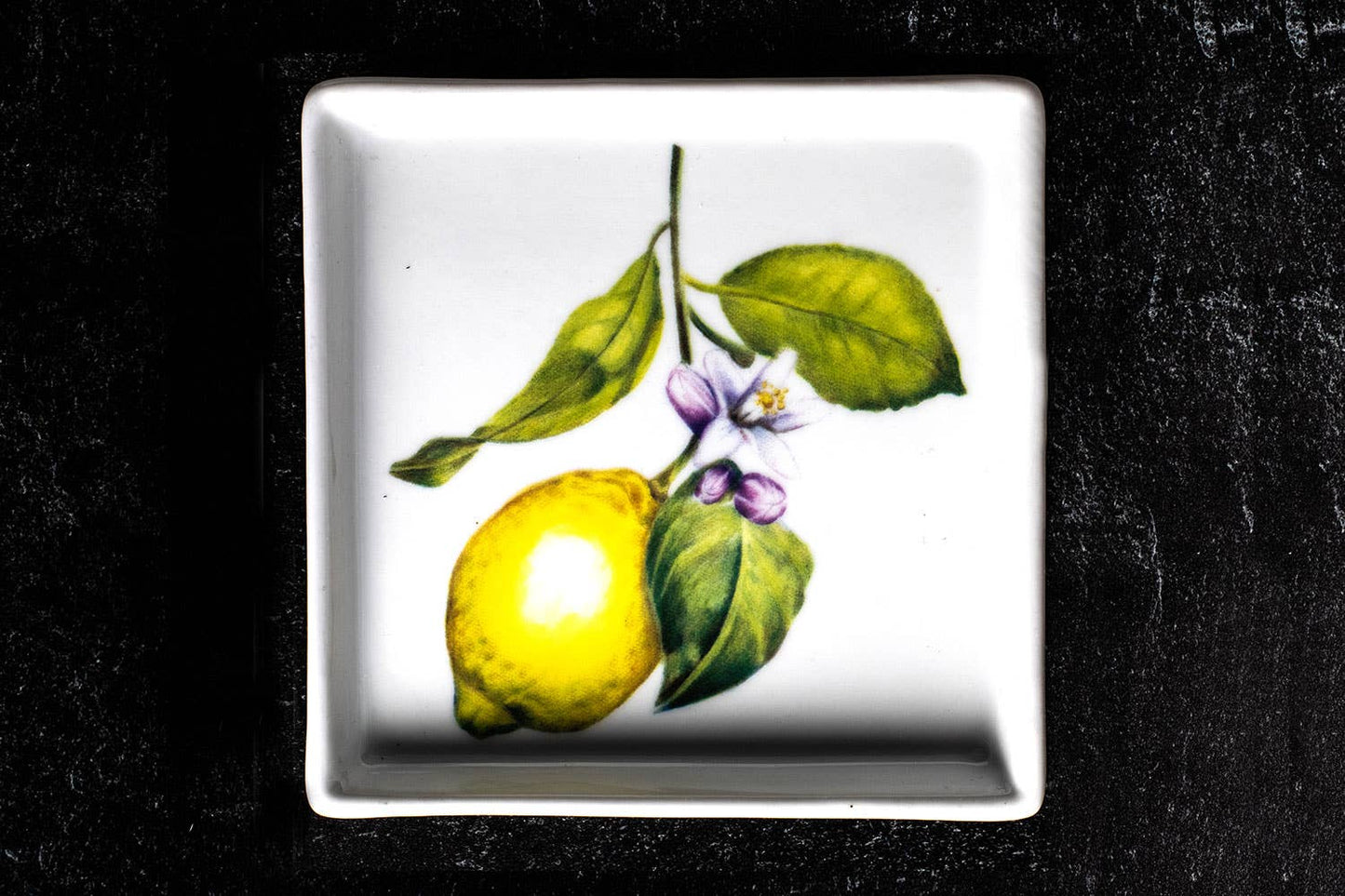 Small Graphic Plate: White