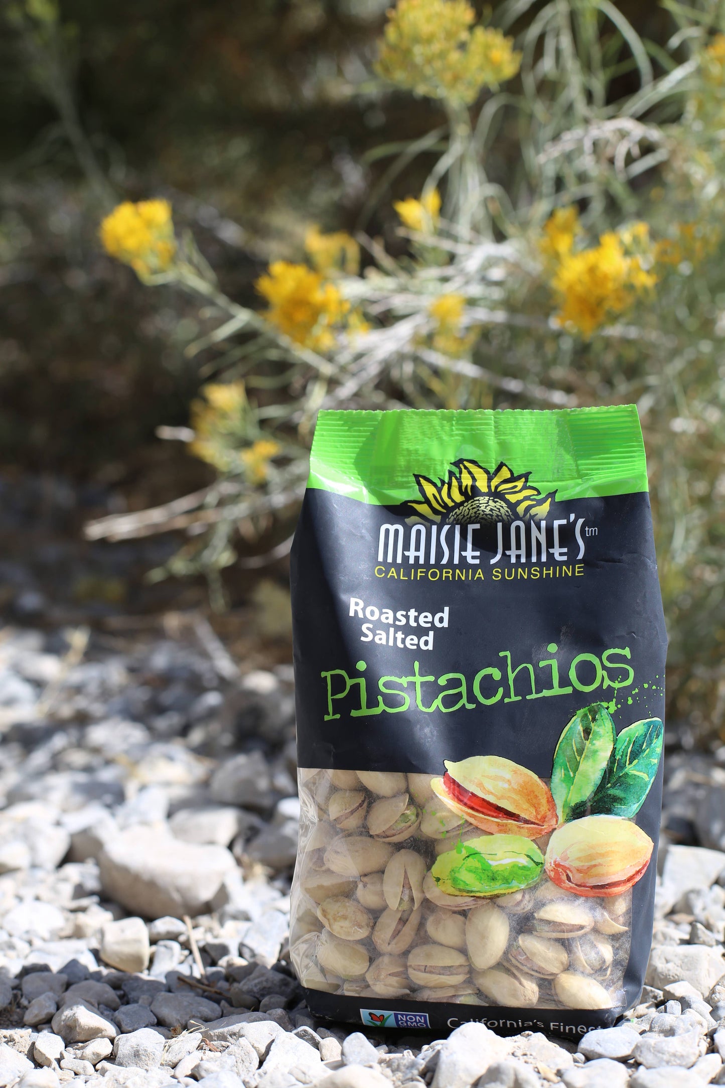 Pistachio Roasted & Salted In-Shell, California 10 oz.