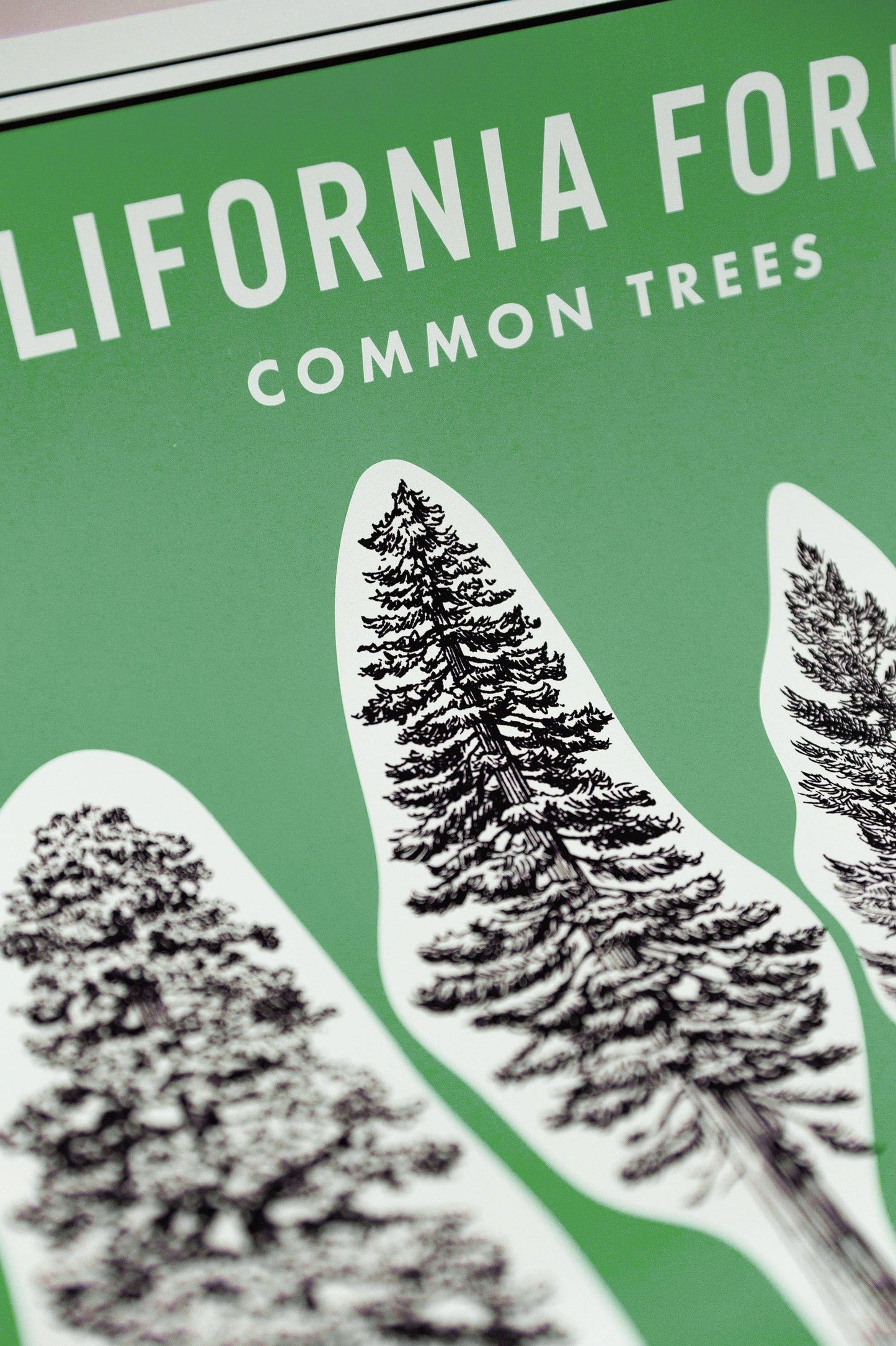 California Forests Poster Print - Green: 11x14