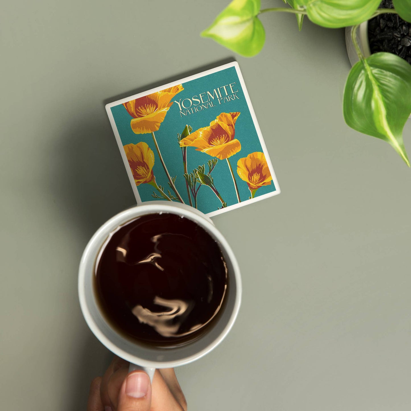 Ceramic Coaster Yosemite National Park, California, Poppy…