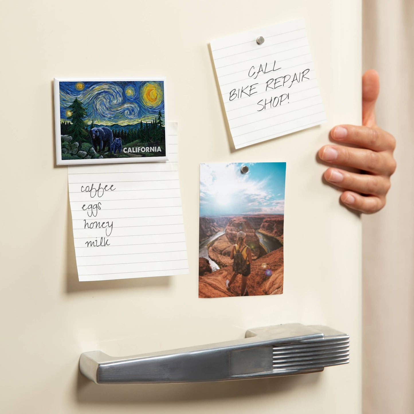 MAGNET California Starry Night Bear & Cub: Magnet