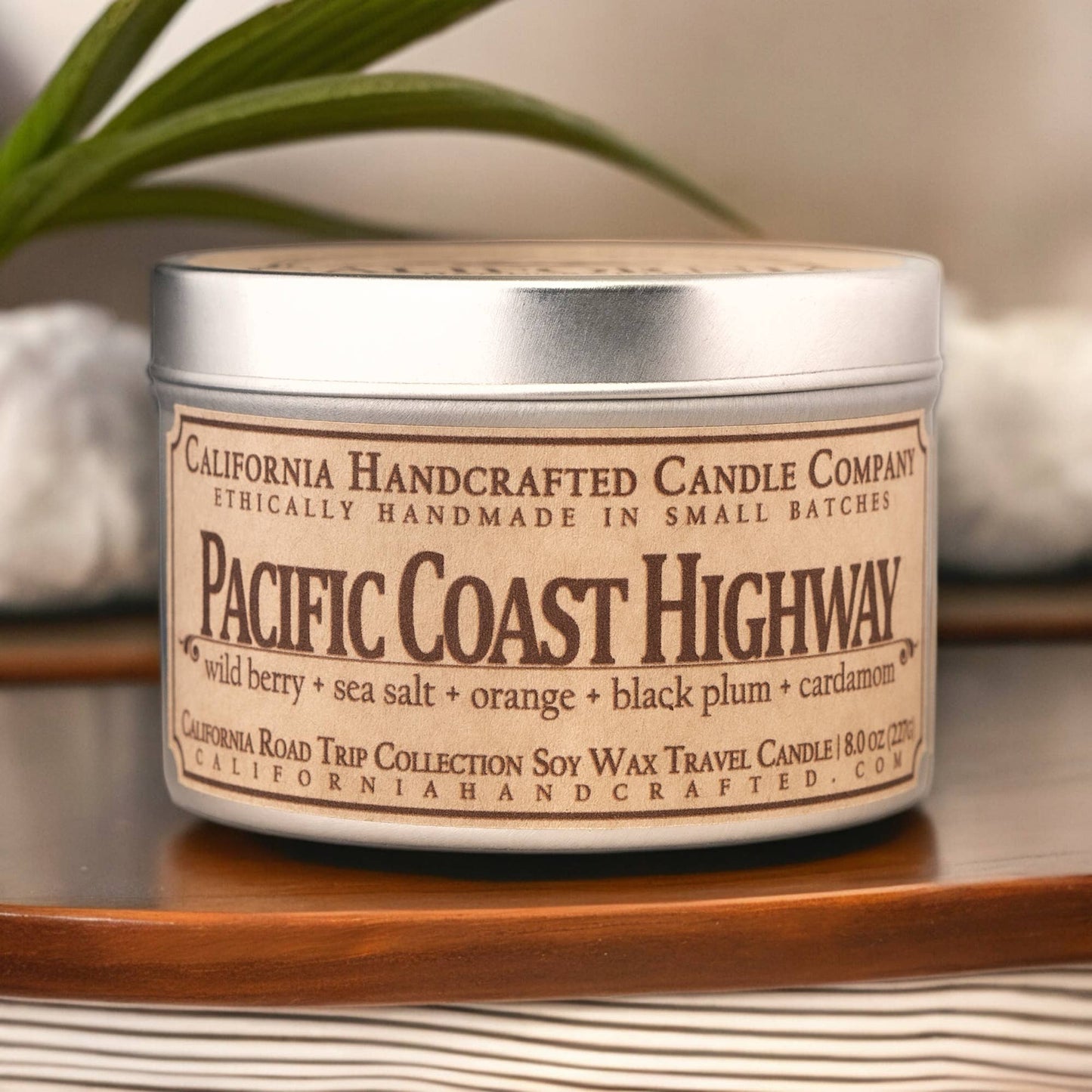 Pacific Coast Highway Coconut Apricot Travel Candle