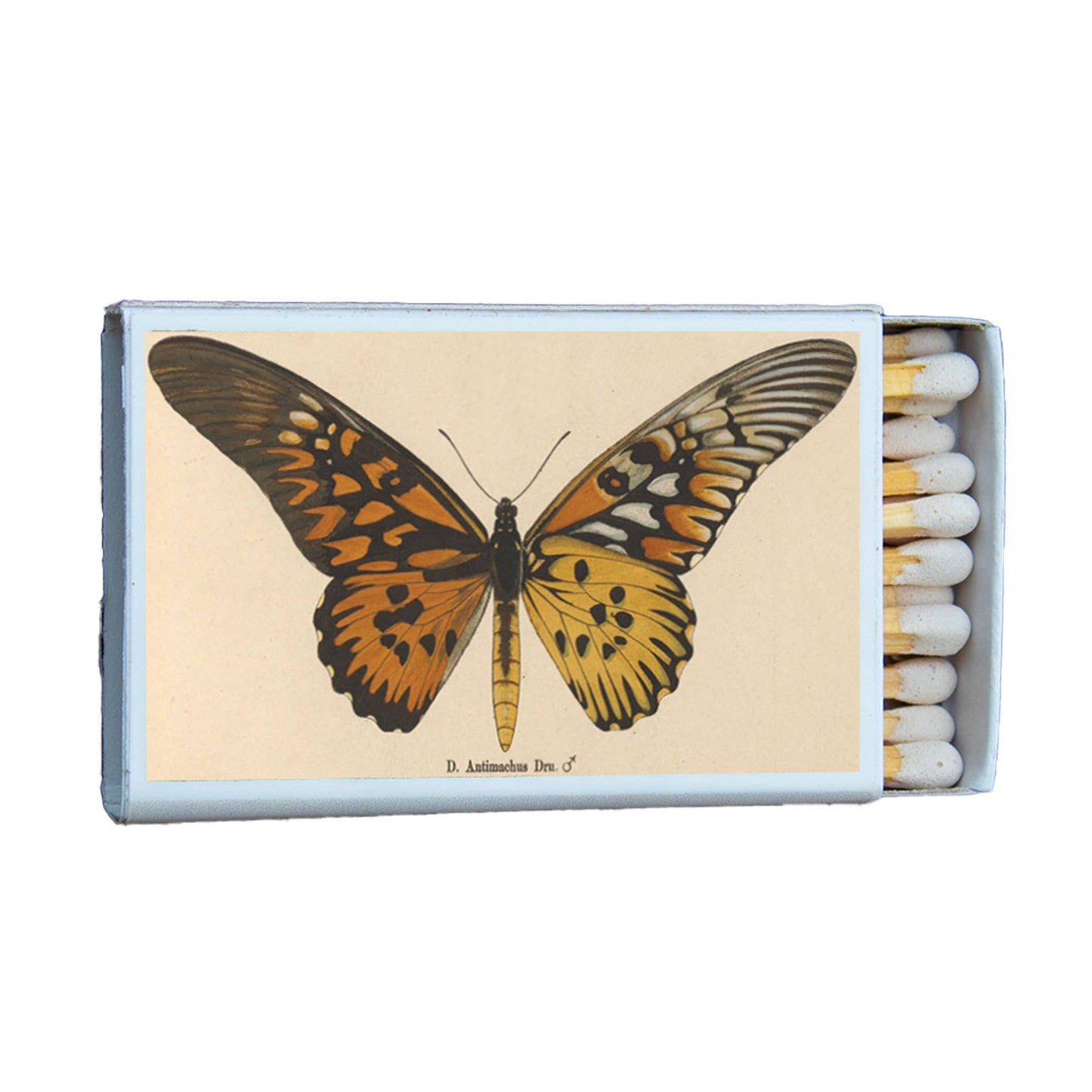 Butterfly Antimachus Matchbox • Candle Accessories • Matches