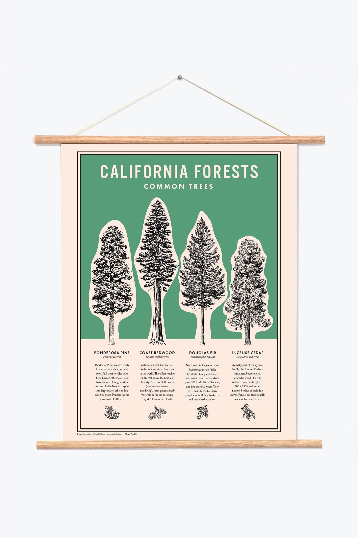 California Forests Poster Print - Green: 11x14