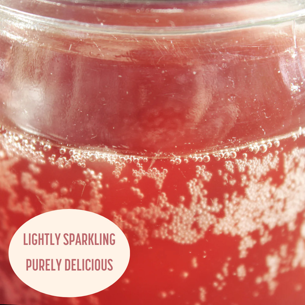 Hibiscus Lemon Probiotic Soda (Hand-Crafted)