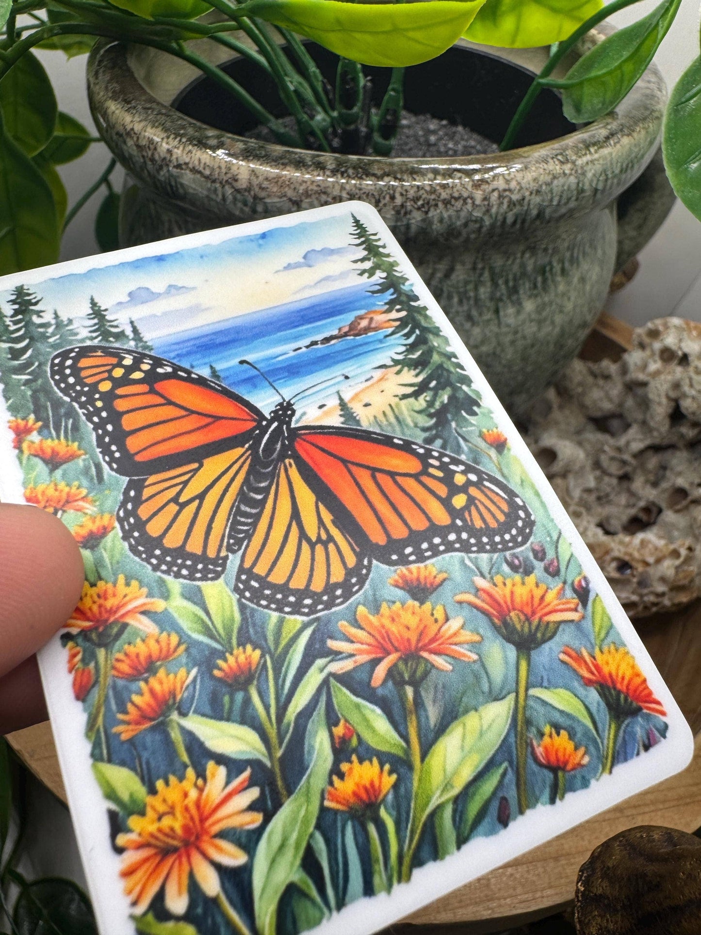 California Monarch Butterfly Sticker: Waterproof Vinyl Decal