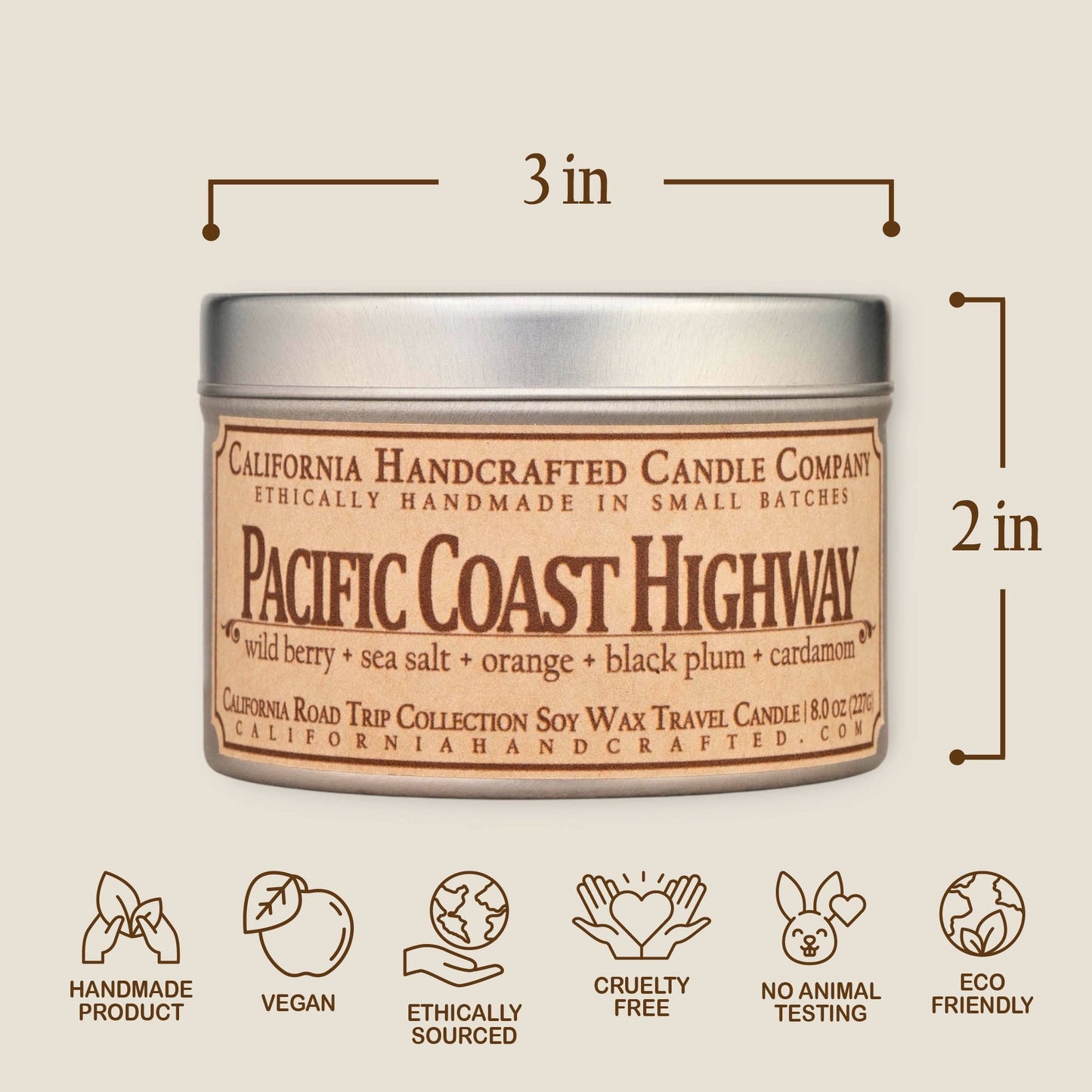 Pacific Coast Highway Coconut Apricot Travel Candle