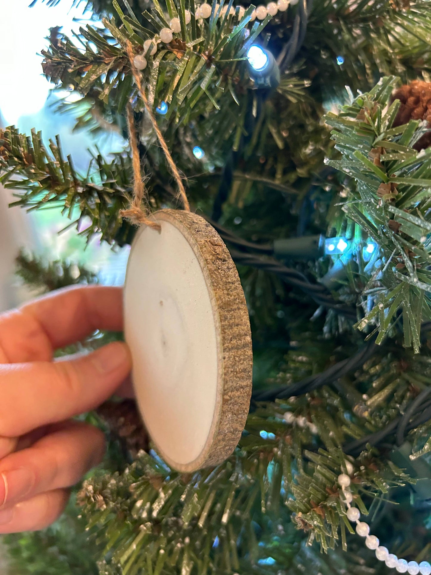 Yosemite National Park Ornament, Sierra Nevadas California
