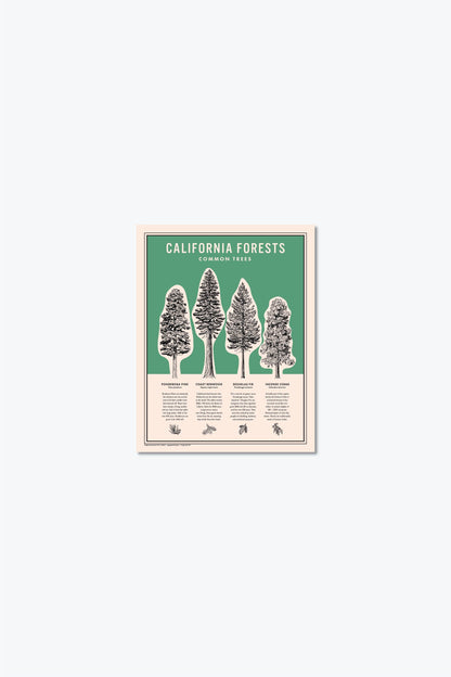 California Forests Poster Print - Green: 11x14