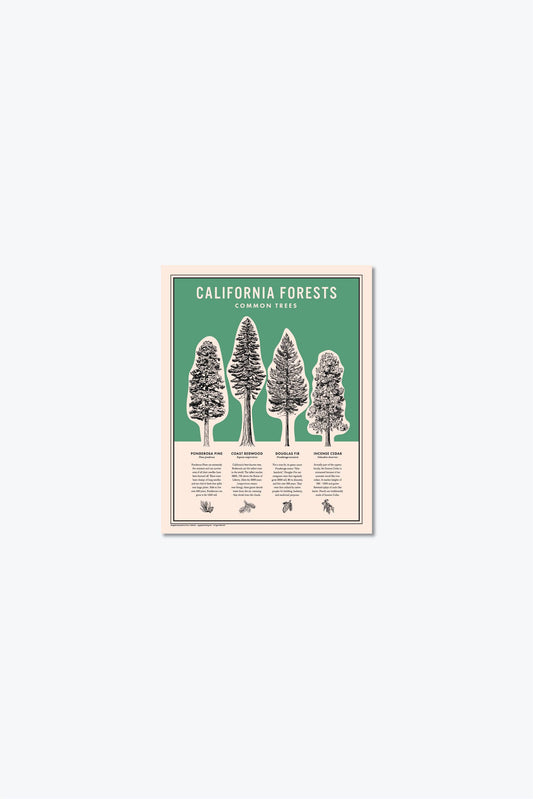California Forests Poster Print - Green: 11x14