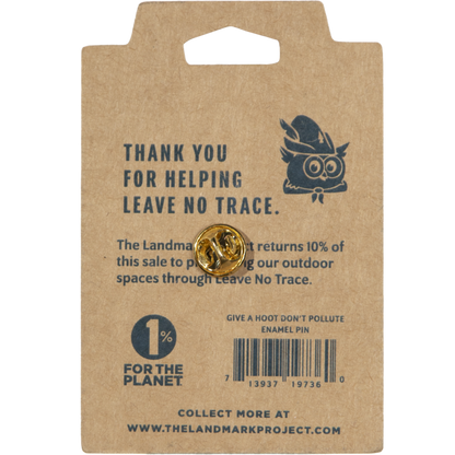Woodsy Owl Postage Stamp Pin