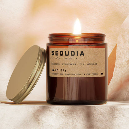 Sequoia Redwood California Candle: Natural Coconut Soy Wax