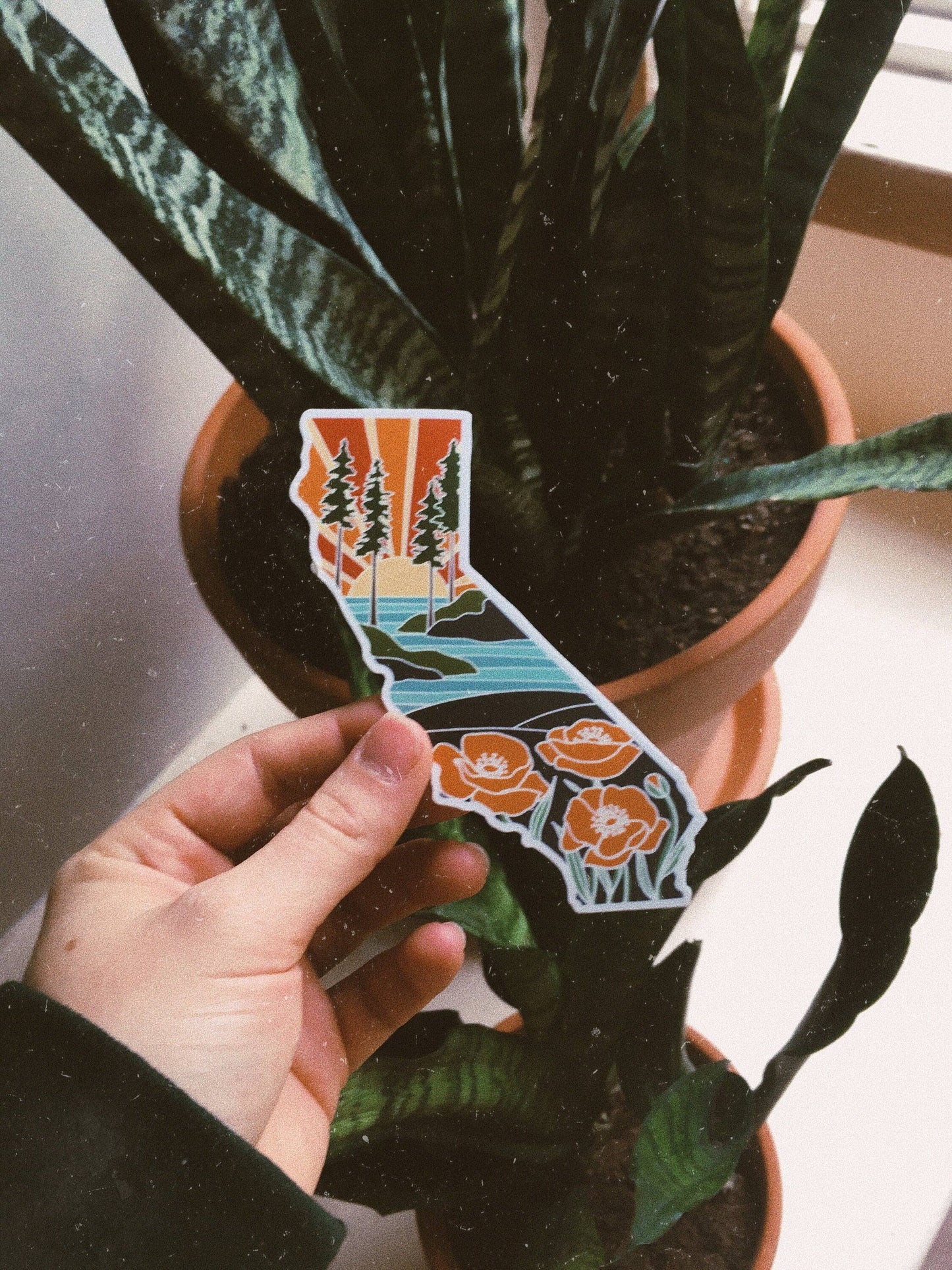 California Weatherproof Sticker