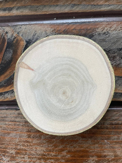 National Park Logo Coaster, National Park Souvenir, Gift