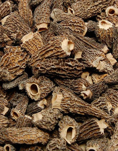 Dried Morel Mushrooms: Large 1.5 oz.