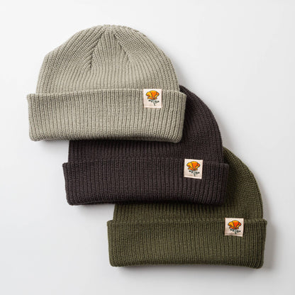 California Poppy Cable Beanie: Eucalyptus