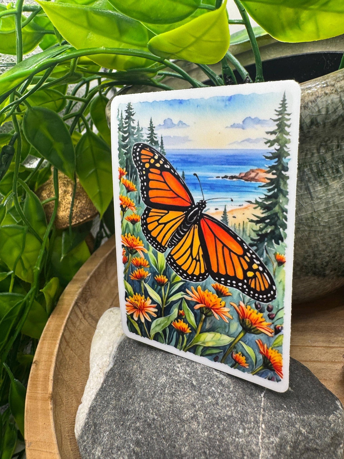 California Monarch Butterfly Sticker: Waterproof Vinyl Decal