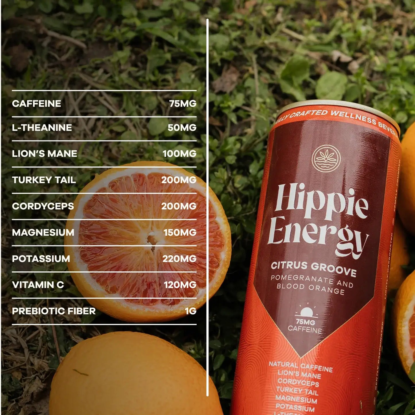 Citrus Groove - All Natural Functional Energy Drink 4pk