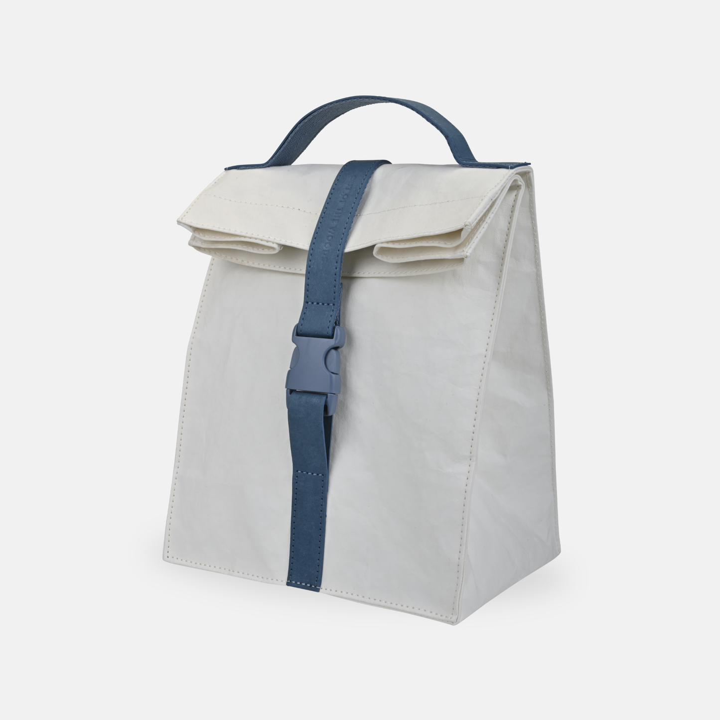 Paper Sack Lunch Cooler, Insulated Bag - SMALL CASE PACKS