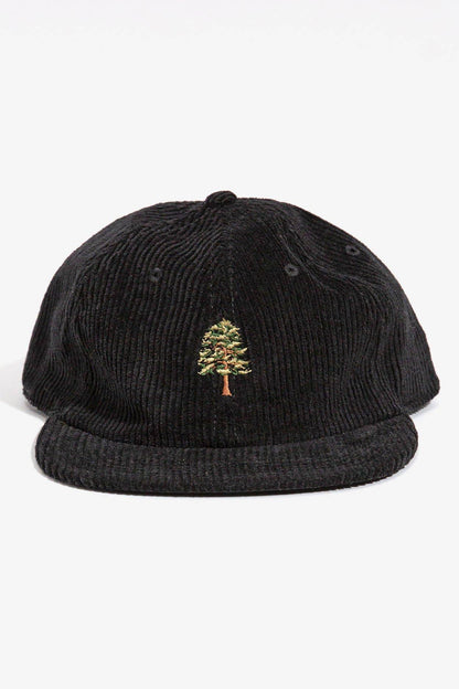 Ponderosa Pine Tree Cord Cap: Black