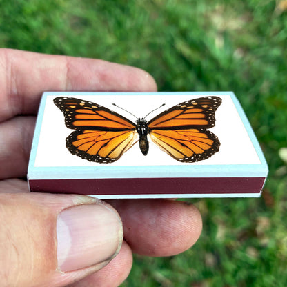 Matches • Monarch Butterfly•Home Decor for Candles & Incense