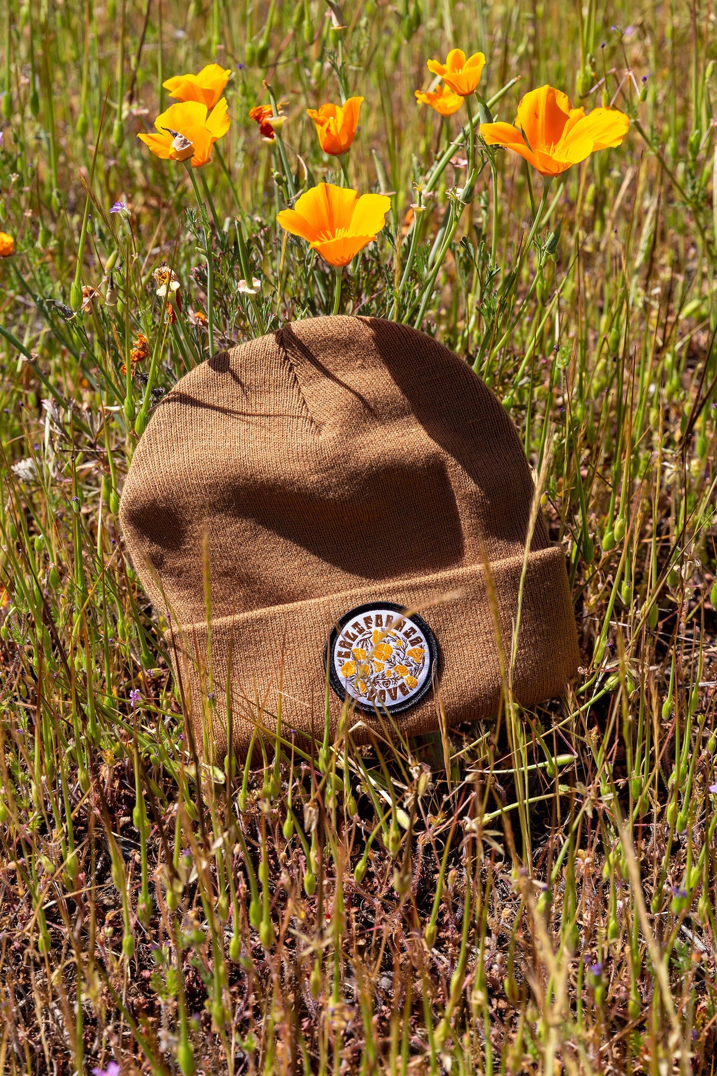 California Poppy Love Cuff Beanie: Ecru