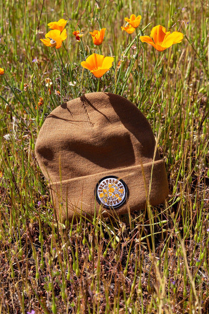 California Poppy Love Cuff Beanie: Ecru