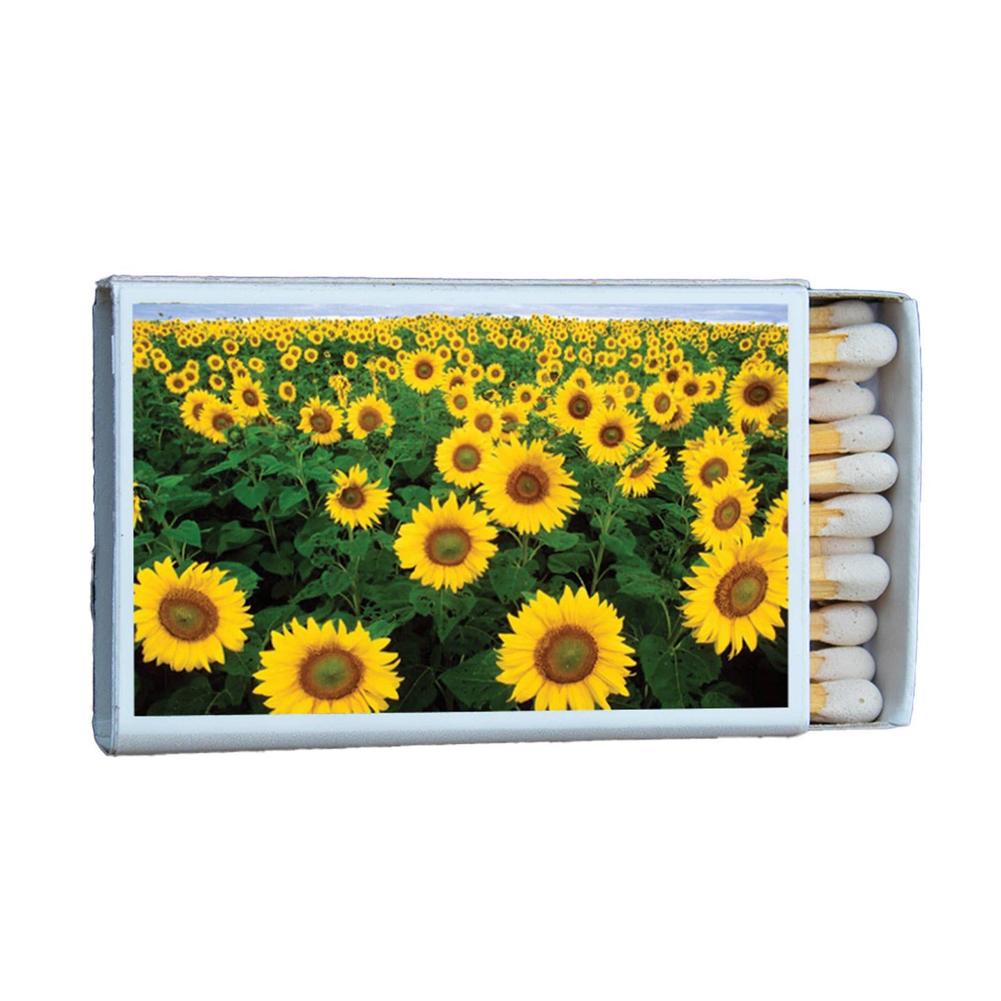Matches • Flowers Sunflower•Home Decor for Candles & Incense