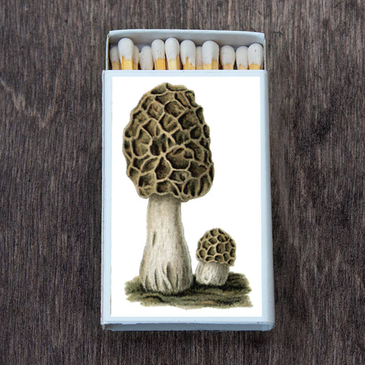 Mushroom Morchel Matchbox • Decorative Matches