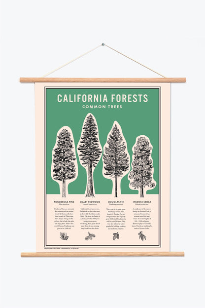California Forests Poster Print - Green: 11x14