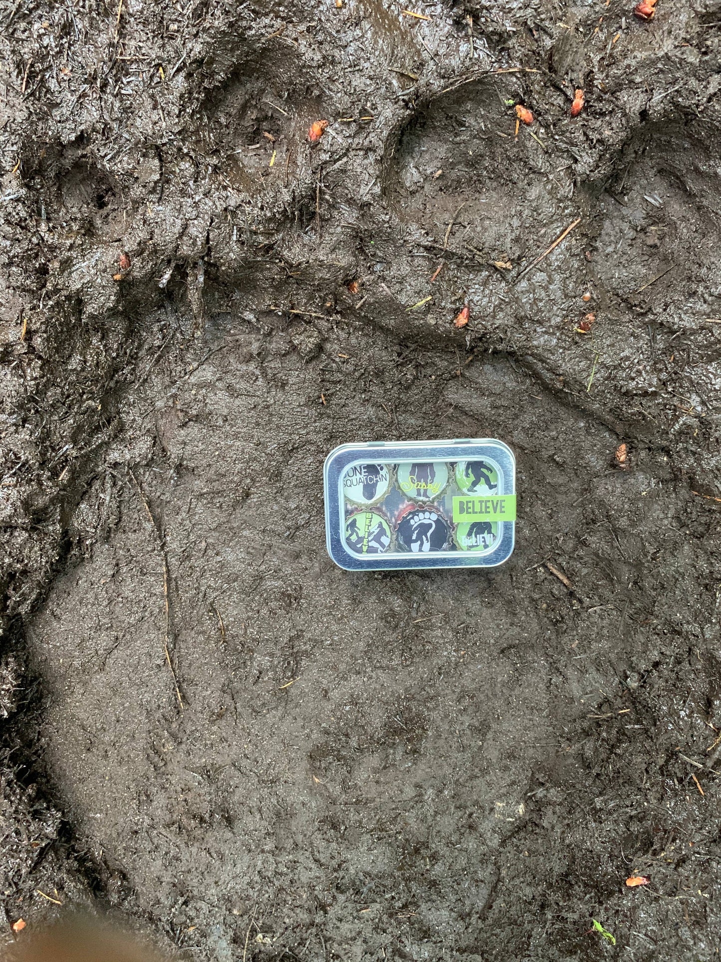 Sasquatch Magnets