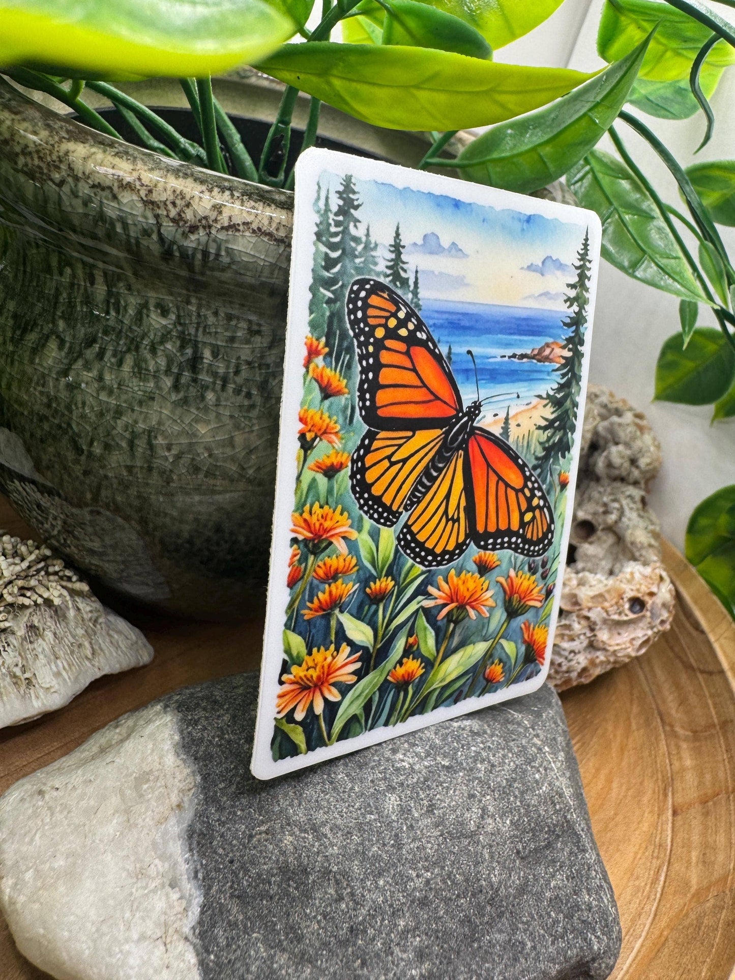 California Monarch Butterfly Sticker: Waterproof Vinyl Decal