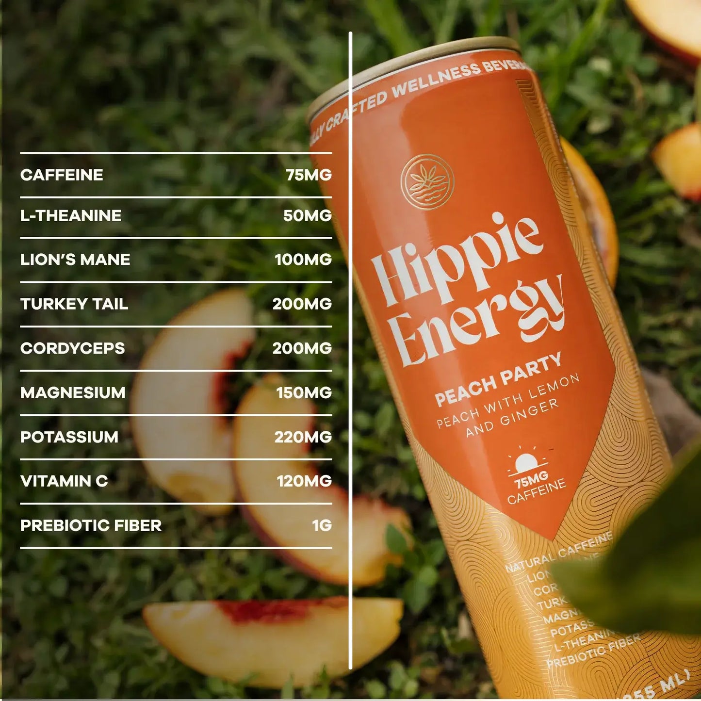 Peach Party - All Natural Functional Energy Drink 4pk