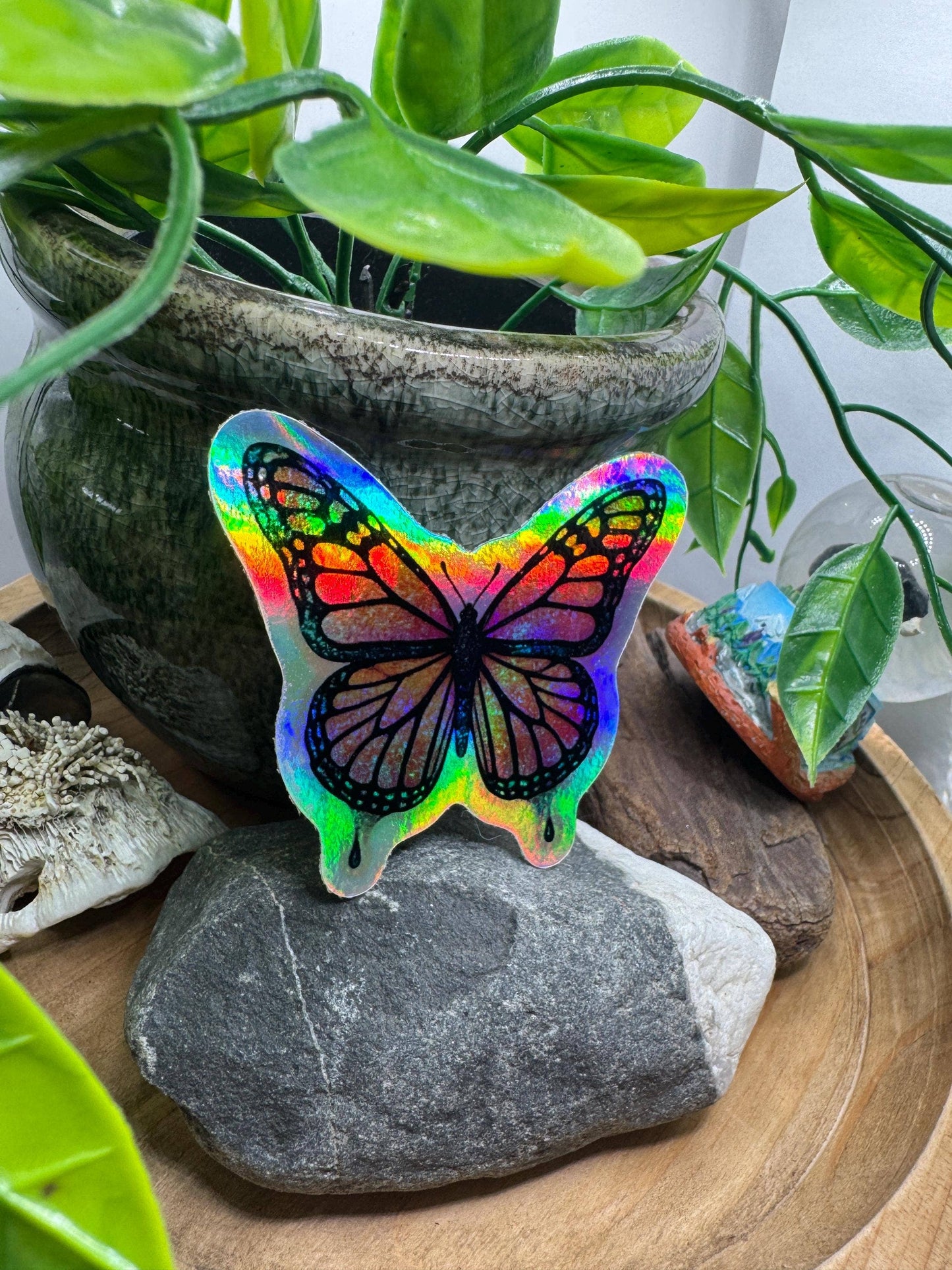 Holographic Butterfly Sticker: California Poppy Vinyl Decal