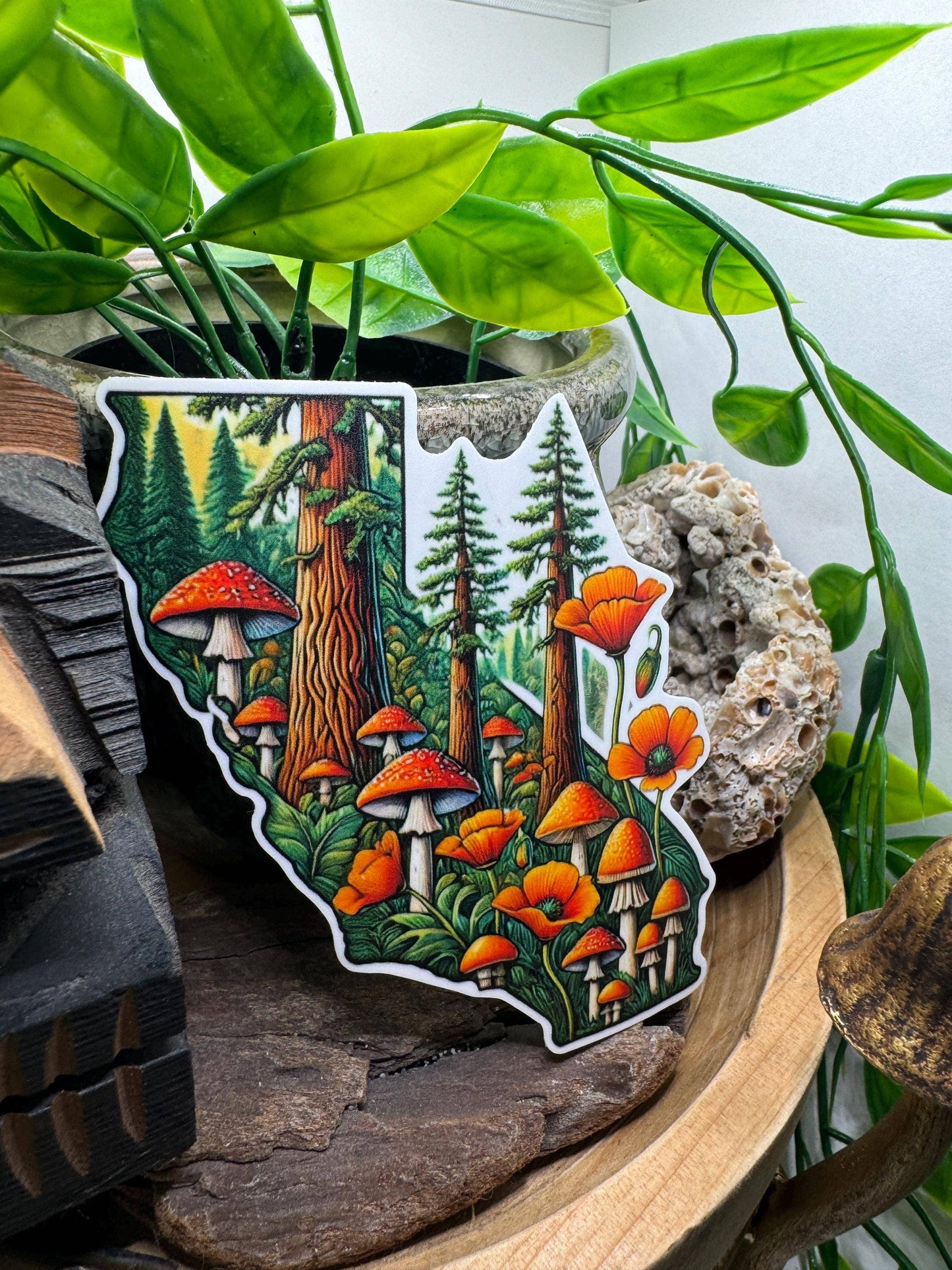 California Poppy & Mushroom Waterproof Vinyl Decal