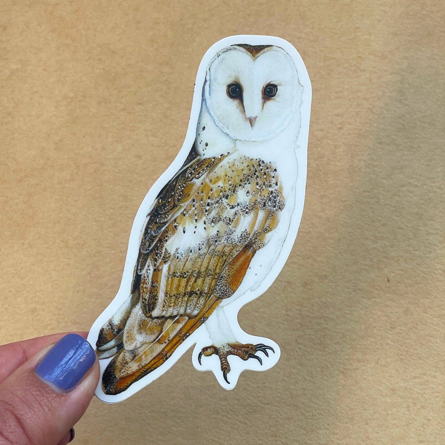 Barn Owl Vinyl STICKER