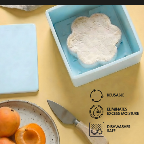 Cheese Vault For Soft Cheese | Artisan Cheese Storage: White