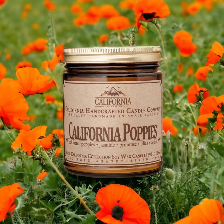 California Poppies Coconut Apricot Jar Candle