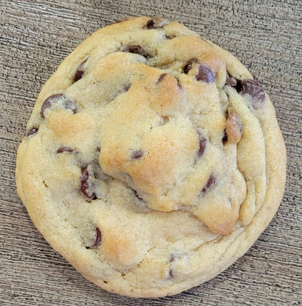 Chocolate Chip Cookie