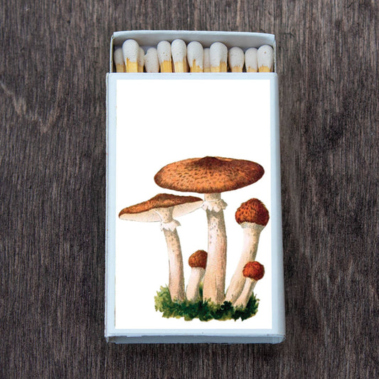 Mushroom Cluster Matchbox • Decorative Matches •