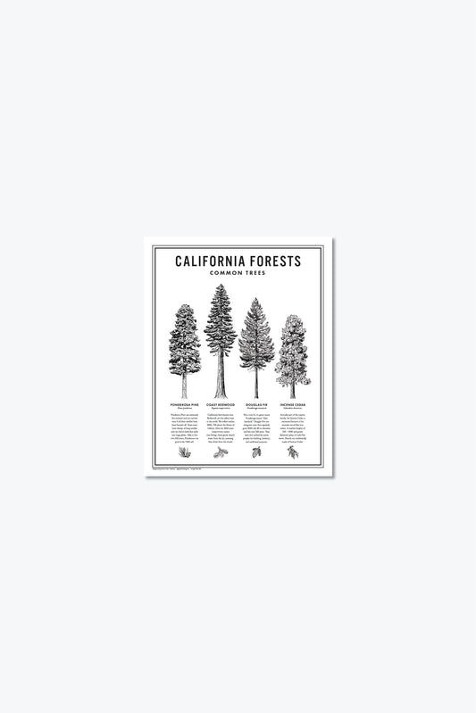 California Forests Poster Print - Black & White: 11x14