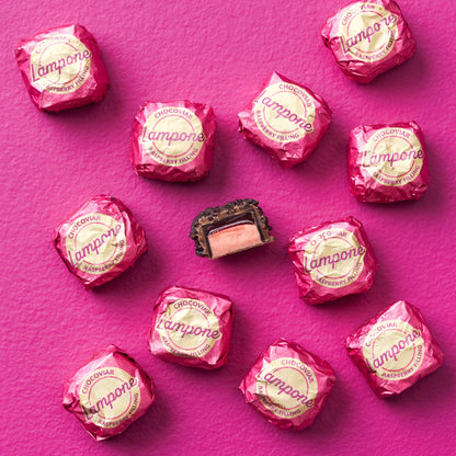 Chocoviar Raspberry - Venchi Italian Gourmet Chocolate