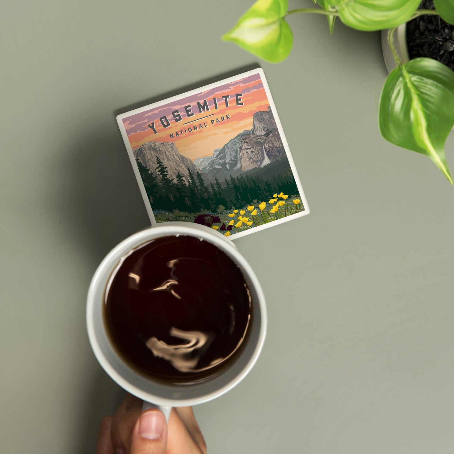 CERAMIC COASTER Yosemite National Park, Wildlife Flowers