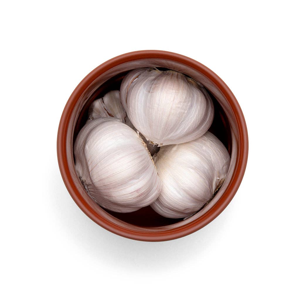 Garlic Keeper Terracotta Storage Container | Heads & Cloves