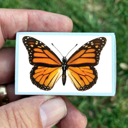 Matches • Monarch Butterfly•Home Decor for Candles & Incense